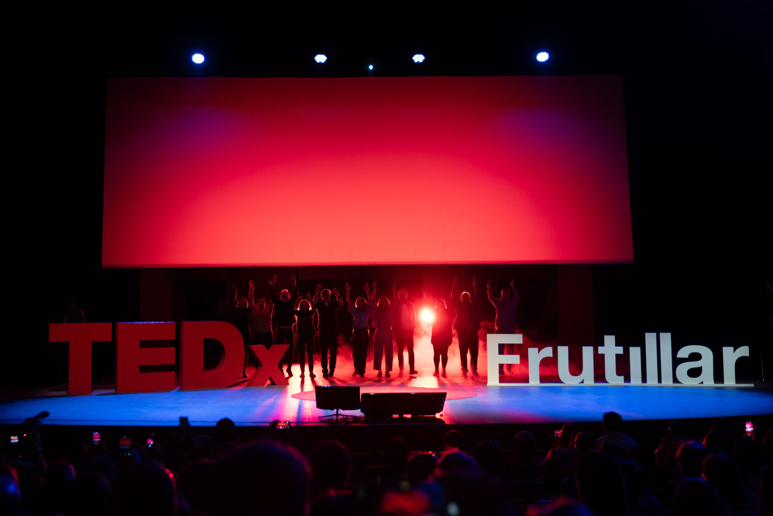 TEDx Frutillar 2025: Conectando más allá de los límites